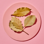 Just Spices - Lorbeerblätter