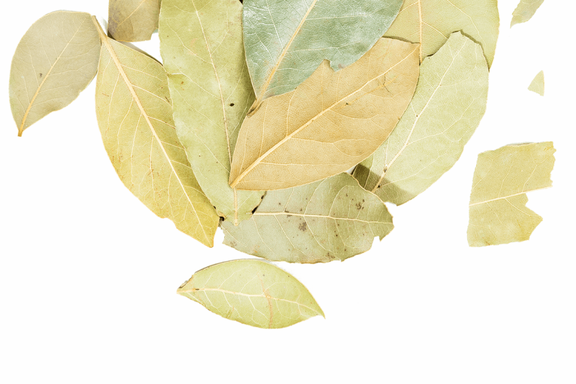 Just Spices - Lorbeerblätter - detail image