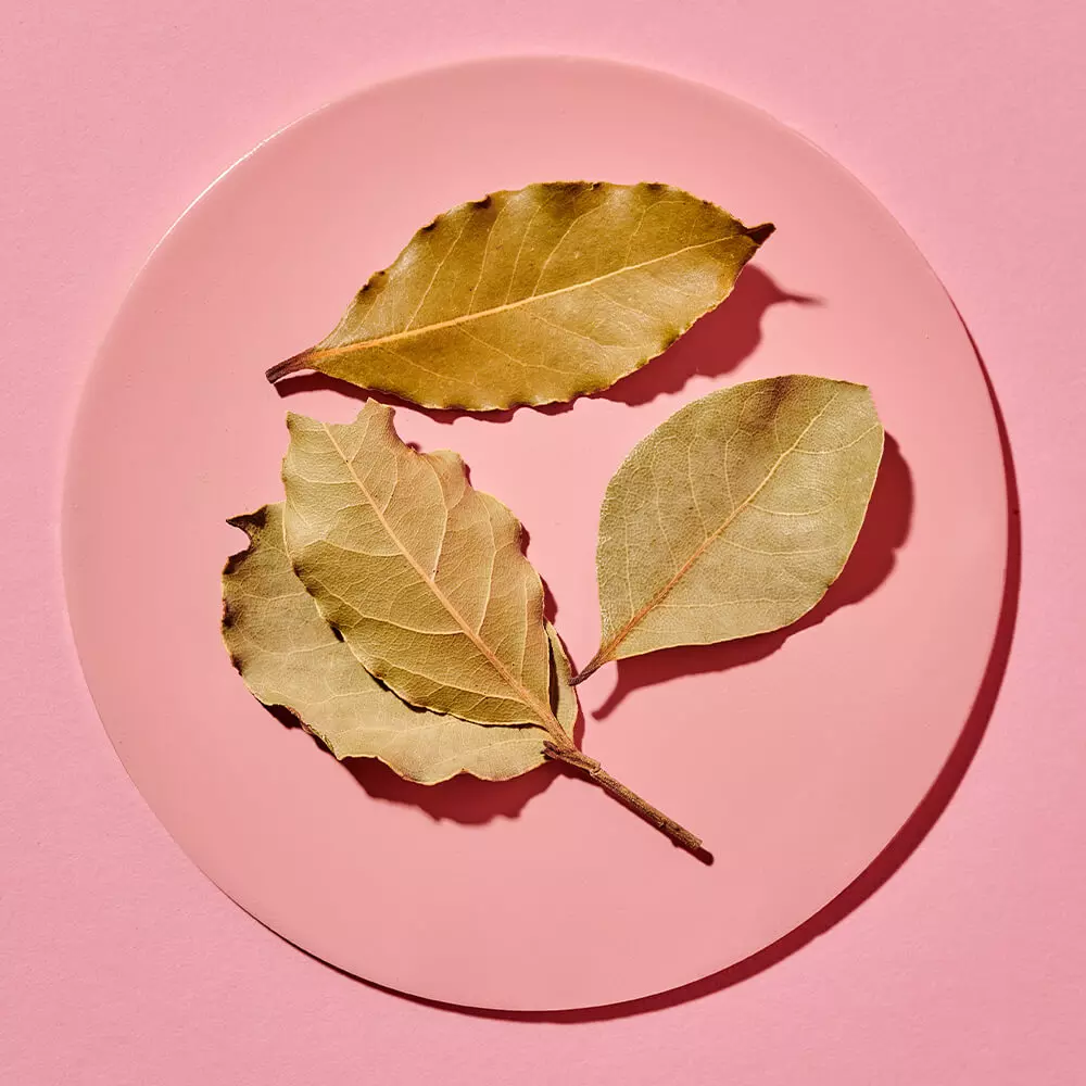 Just Spices - Lorbeerblätter